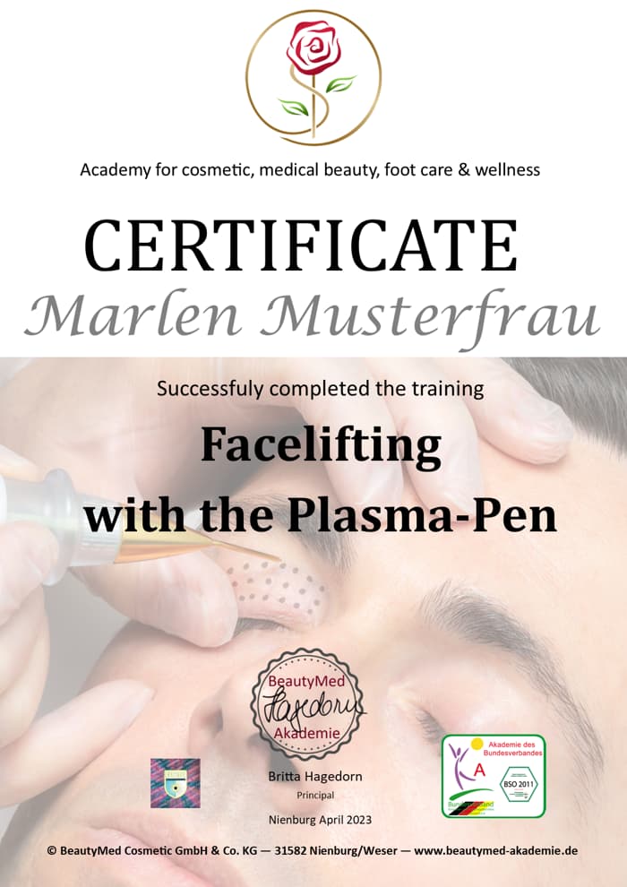 Online-Ausbildung - "Plasma-Pen"