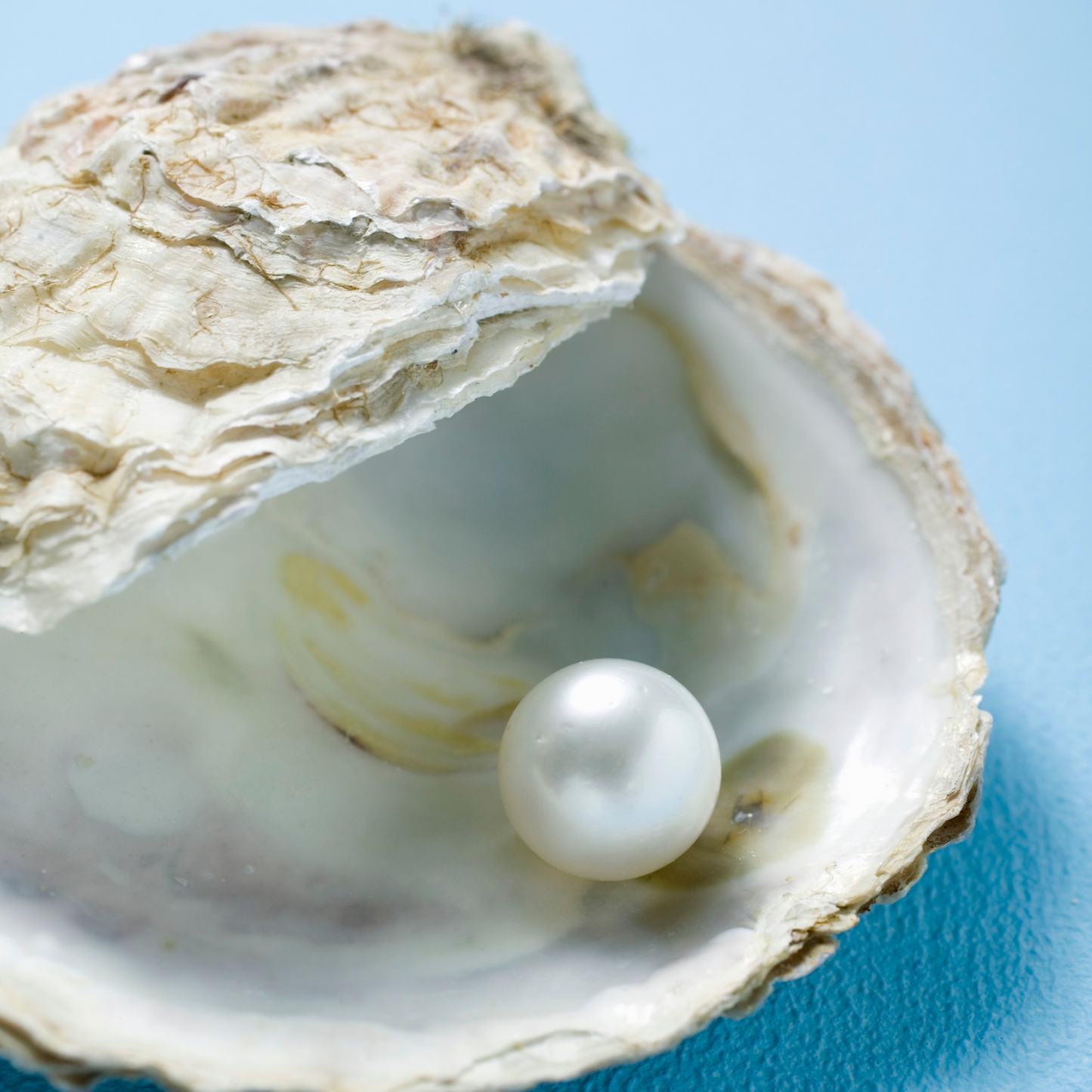 Ocean Pearls Cream rich